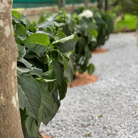 Music House Bed & Breakfast