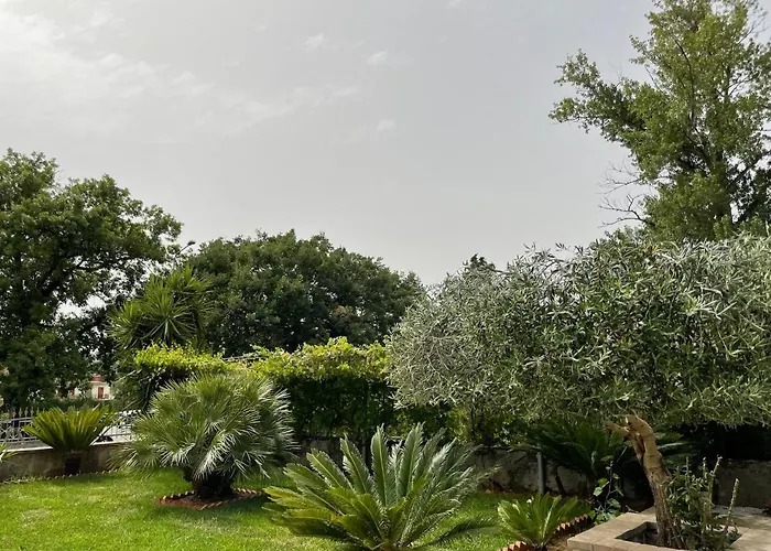 Music House Palinuro