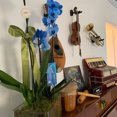 Bed & Breakfast Music House Palinuro