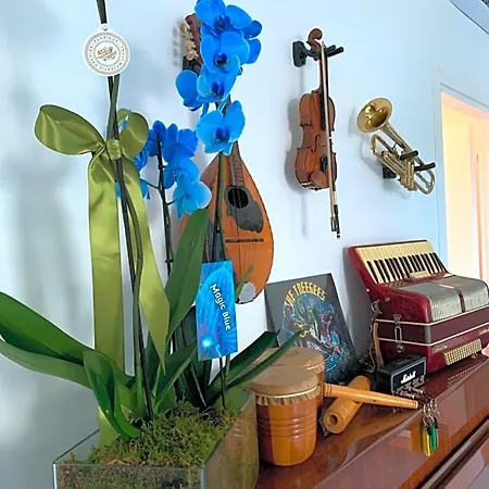 Bed & Breakfast Music House 4*